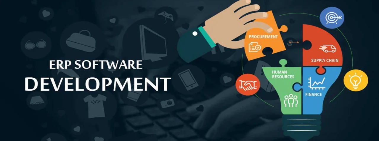 ERP development